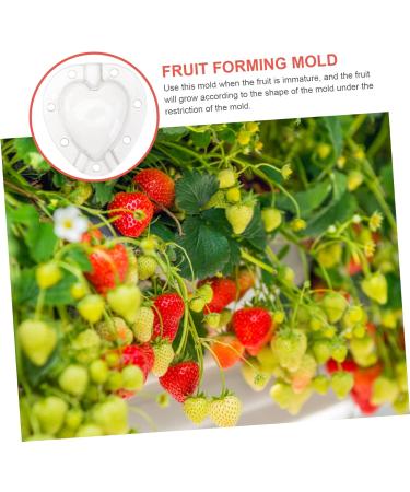 Kisangel 15 Pcs Fruit Shaping Mold Vegetables Fruit Forming Mold Fruit Growth Molds Gourd Gardening Supplies 4.5x4cmx3pcs Whitex3pcs - Buy Online on SooperMarket.com
