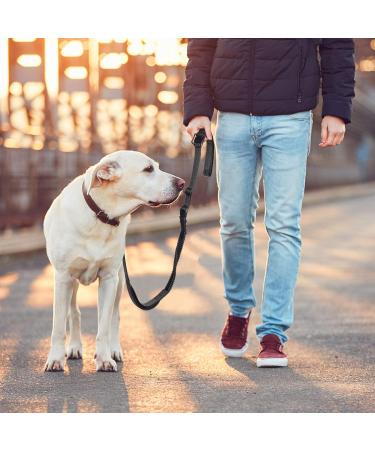 Hands Free Running Dog Lead - Retractable 7FT Long Training Leash for Medium Large Dogs - Reflective Nylon Tape - Ideal for Walking, Hiking, Jogging - Car Seat Belt Leash - Black - Buy Online on SooperMarket.com