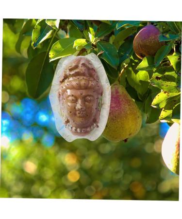 BCOATH Forming Vegetable Tool Clear Gardener Ginseng for Decorative Watermelon Transparent - Buy Online on SooperMarket.com