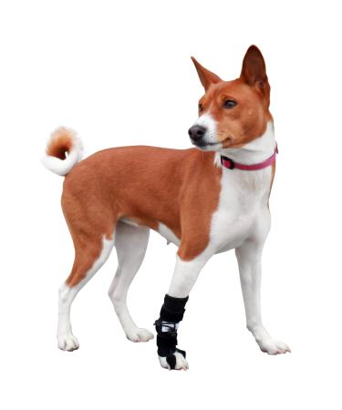 Front No-Knuckling Training Sock | Helps Dogs Pick up Their Feet When Knuckling Under or Dragging Their Front Paws Small
