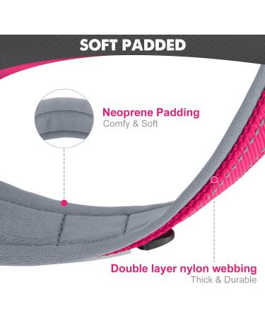 Joytale Softly Padded Neoprene Dog Collar for Medium Dogs - Reflective Wide Nylon Collar in Bright Pink (1 Pack) - International Shipping Available - Buy Online on SooperMarket.com