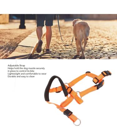 Dog Handlebars with Seat Belt - XL Orange Pet Halter for Safe Outdoor Walking | Prevent Pulling - Buy Online on SooperMarket.com