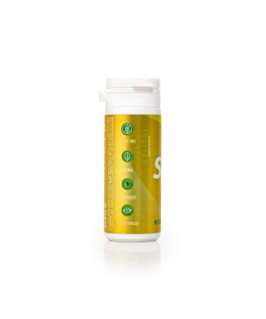 Xlear Spry Chewing Gum Fruit Sugar-Free 27 pieces - Buy Online on SooperMarket.com
