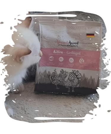 Venandi Animal Premium Cat Food for Kittens - Grain-Free Poultry with Fresh Meat | 300g Pack - Buy Online on SooperMarket.com
