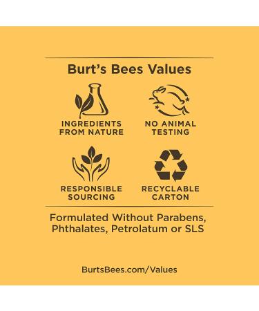 Burt's Bees Herbal Complexion Stick (Pack of 2) - Natural Acne Treatment - Buy Online on SooperMarket.com