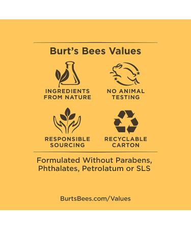 Burt's Bees Honey Caramel Color Nurture Cream Eye Shadow - 7.08 GR | Natural & Nourishing Eye Makeup - Buy Online on SooperMarket.com