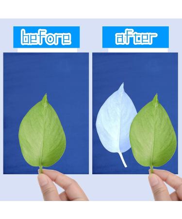 Cyanotype Paper Sun Art Kit - 60 Sheets, High Sensitive Solar Activated Paper for Nature Printing, Arts and Crafts - 5.8 x 8.3 Inch - Buy Online on SooperMarket.com