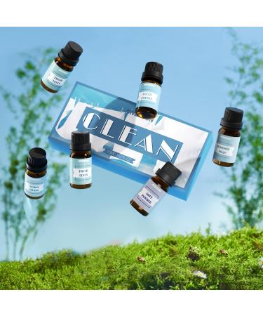 Clean Essential Oils Set ARVIDSSON Fragrance Oil for Home Cleaning Products Fresh Linen Clean Air Fresh Cotton Soft Powder Blossom Soap Lemongrass Clean Home Scented Oils - Buy Online on SooperMarket.com