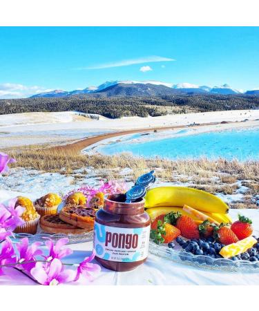 Pongo Cocoa Hazelnut Protein Spread - Low Sugar, Low Carb, Keto-Friendly, 13oz | No Palm Oil, No Artificial Sweeteners - Buy Online on SooperMarket.com