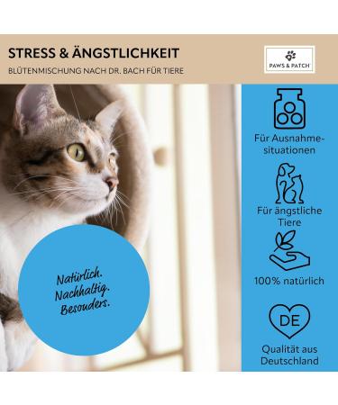 Paws & Patch Set: Dr. Bach Flower Mix for Stress & Anxiety in Dogs & Cats - 10g | Natural Relief for Fear & Stressful Situations - Buy Online on SooperMarket.com