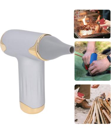 Alomejor Mini Fan - Portable Bladeless Hair Dryer for Pets | 4 Wind Levels 1100mAh Battery - Ideal for Cats & Dogs (Silver - Buy Online on SooperMarket.com