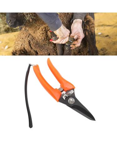 Buy High Carbon Stainless Steel Hoof Shears for Goats | Safe & Durable - International Shipping - Buy Online on SooperMarket.com