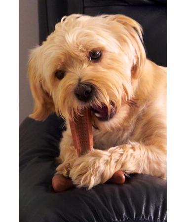 Bamboodles T Bone Dog Chew - Medium Chicken Flavor for Aggressive Chewers - Buy Online on SooperMarket.com