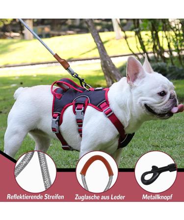 Multi-Purpose Dog Harness with Leash Set - Outbreak-Proof Safety Dishes for Small & Medium Dogs (Black L) - Durable Anti-Train Dog Harness - Buy Online on SooperMarket.com