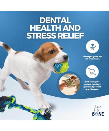 Fur & Bone 10 Pack Dog Rope Toy Dog Chew Toys for Aggressive Chewers - Cotton Puppy Toys | Dog Toys Indestructible for Dog Chews | Dog Toy Indestructible Dog Toys Dog Accessories Chew Toys for Dogs - Buy Online on SooperMarket.com