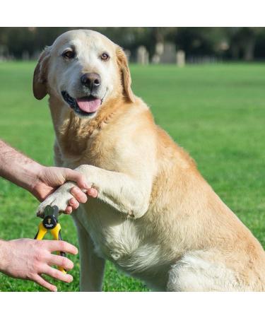 Thunderpaw s Professional Dog Claw Scissors with Safety Lock & Nail File - Medium to Large (Yellow) - Best Pet Nail Clippers for Safety - Buy Online on SooperMarket.com