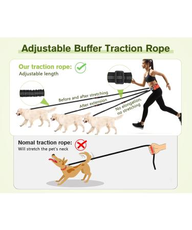 Pecute Jogging Leash for Dogs - Elastic Running Leash with Belly Belt for Large & Medium Dogs Includes Belt Bag Supports Up to 100kg - Perfect for Running & Jogging - Buy Online on SooperMarket.com