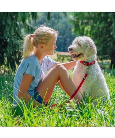 Nobby Soft Grip Collar Black - Adjustable Size 25-35 cm 15 mm Width | Durable & Comfortable Pet Accessory - Buy Online on SooperMarket.com