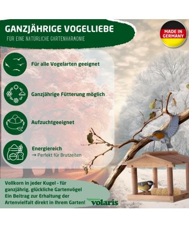Buy Eggersmann Volaris 30 Meisenkn del Whole Grain - 2.7 kg Nutrient-Rich Wild Bird Feed | Ideal for All Bird Species | International Shipping Available - Buy Online on SooperMarket.com