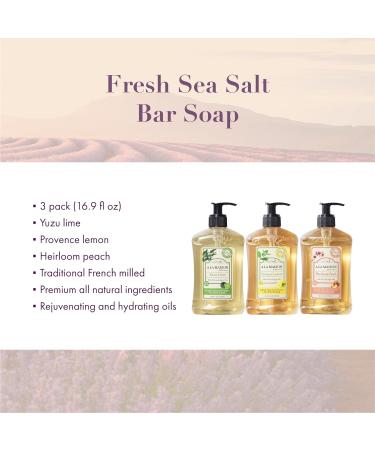 A LA MAISON Liquid Hand Soap Variety Pack - Yuzu Lime, Provence Lemon, Heirloom Peach - Natural Moisturizing Soap (3 Pack 16.9 oz) - Buy Online on SooperMarket.com
