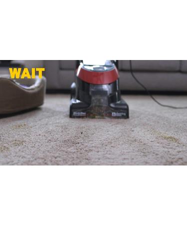 ZEP INC Carpet Shampoo - 128 fl oz | Deep Clean Your Carpets | Fast International Shipping - Buy Online on SooperMarket.com