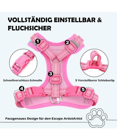 Supet Cat Dishes & Line Set - Perfect Feeding Solution for Kittens | International Shipping Available - Buy Online on SooperMarket.com