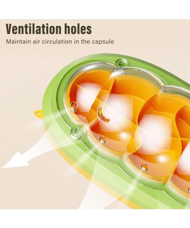 Observation Box Baby Silkworm Shape Silkworm Rearing Bucket Mesh Hole Design Multifunctional Educational for Reptiles (Green) - Buy Online on SooperMarket.com