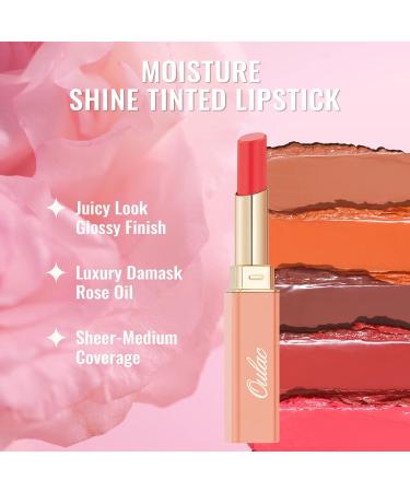 Oulac 2-in-1 Lipstick & Lip Balm - Juicy Shiny Lip Care for Smooth Hydrated Lips | Vegan Plummy Terracotta - Buy Online on SooperMarket.com
