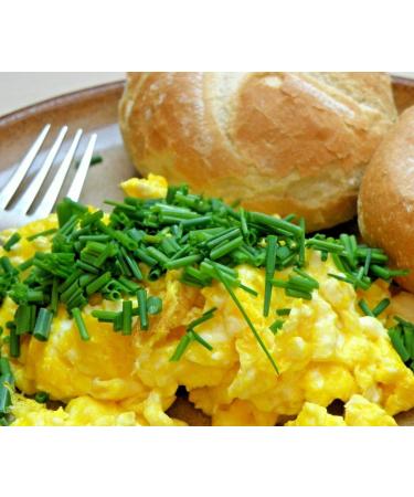 2 POUNDS (32 OZ) Powdered Whole Eggs, BEST PRICES AND FRESHEST EGGS! Made in the USA, Makes 70 Large Eggs, 1 INGREDIENT - EGGS! FARM FRESH, NON GMO, ALL NATURAL, RESEALABLE POUCH