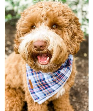 Lionet Paws Dog Bandana - Triangular Headscarf for Small Medium & Large Dogs - Dark Blue (Pack of 1) - International Shipping Available - Buy Online on SooperMarket.com