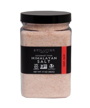 Evolution Salt Co. Gourmet Pink Himalyayan Salt, Fine, 17 oz Soft Jar, 17oz