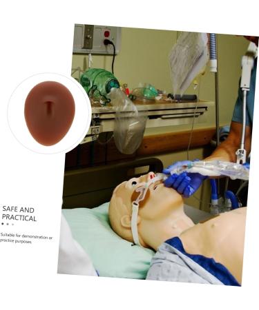 VINTORKY 1pc Silicone Human Nose Models Practice Peircing Body Navel Presentation Model Display Rack Medical - Buy Online on SooperMarket.com