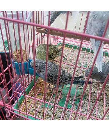 Bird Food Water Dispenser Bird Water Bottle Parrot Automatic Water Feeder Water Drinker Food Feeder Waterer Clip Feeder Cage Accessories for Parrot Budgie Lovebirds Cockatiel Parakeet Cockatoo - Buy Online on SooperMarket.com
