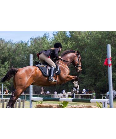 Premium Purple English Riding Crop with Genuine Leather Top - Equestrianism Essential - Buy Online on SooperMarket.com