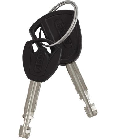 Abus Ironing Lock Granite XPlus 540 - Secure Bicycle Lock with XPlus Cylinder - Security Level 15 - Black/Gray - 30 cm - International Shipping Available - Buy Online on SooperMarket.com