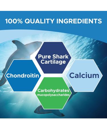 MapleLife Nutrition - Shark Cartilage 750mg - Excellent Source of Chondroitin - High Potency Pure Ingredients Calcium Carbohydrates Maintain Bone Health Reduce Joint Pain Anti-Inflammation Reduce Swelling & Redness of Joints Free of Artificial Ingredients - Buy Online on SooperMarket.com