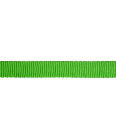 ALIENS Webbing Sling - 22 kN Strength 16 mm Width 30 cm Green - Various Lengths & Colors | International Shipping Available - Buy Online on SooperMarket.com