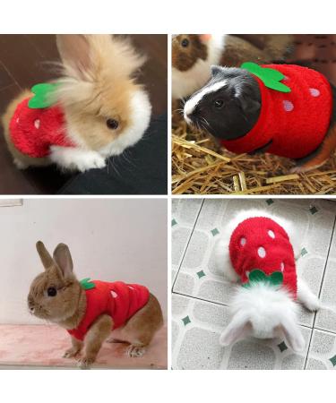Bangminda Sleeveless Vest for Small Pets | 2-Piece Warm T-Shirts for Guinea Pigs Kittens Rabbits Ferrets & Chihuahuas - International Shipping Available - Buy Online on SooperMarket.com