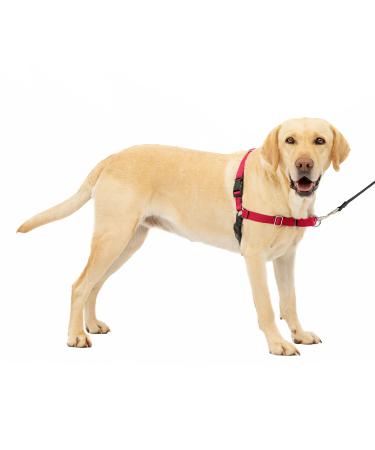 PetSafe Easy Walk Harness Anti-Pull Dog Harness Reduces Choking and Coughing With 1.8M Leash Size L Red L Red