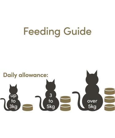 Applaws 100% Natural Tuna Fillet Wet Food in Broth for Adult Cats - 24 x 70g Pack | Premium Cat Food International Shipping - Buy Online on SooperMarket.com