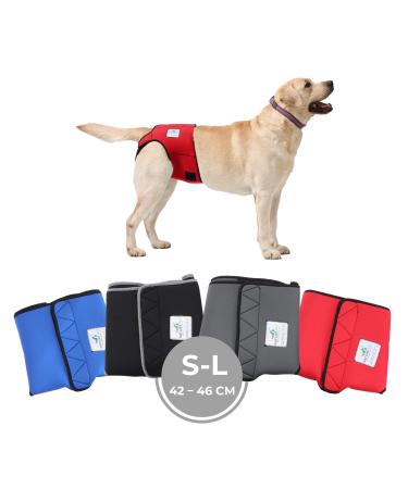Sailing trousers for bitches 2.0 - dog diapers made of high -quality perforated neoprene for an optimal air exchange - dog diapers for male without the annoying threading of the rod (S -L red)