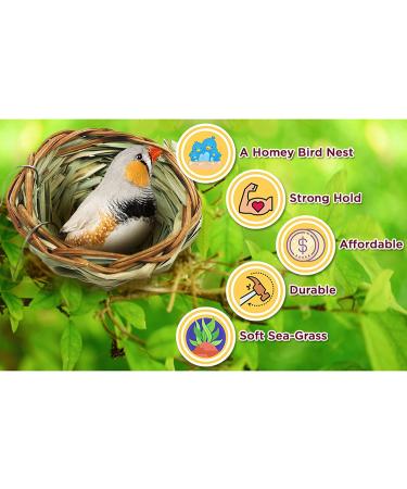 SunGrow Birds Nest for Finch, Canary, Pigeon, Parakeet - Encourages Courtship, Breeding, Nesting - Buy Online on SooperMarket.com