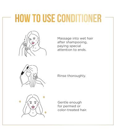 Buy Pantene Pro-V Daily Repair & Protect Conditioner 16 Fl Oz - Fast International Shipping - Buy Online on SooperMarket.com