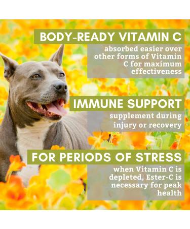 Organic Dog Allergy Relief & Immune Support Supplement | Vitamin C Powder for Joint Mobility & Overall Health | UTI Relief | 1000mg Ester C | Made in USA | 6 oz - Buy Online on SooperMarket.com