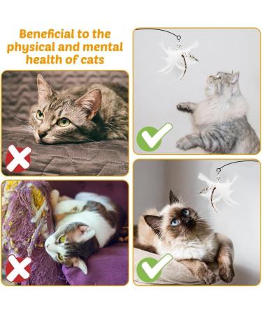 DONGKER 8pcs Cat Rod Replacement Feathers Interactive Cat Replacement Feathers With Bell for Cat Wand Toys Chasing Toys - Buy Online on SooperMarket.com