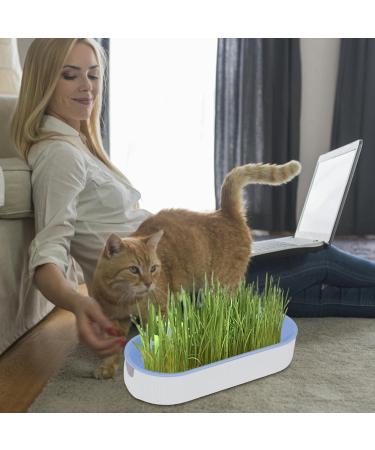 Youding Cat Grass Growing Kit Planter Tray Catnip Box Chewing Kitten Plant Set for Snacks Soil Free Snacks Digestion Pet Food Indoor Nursery Balcony Patio Blue - Buy Online on SooperMarket.com