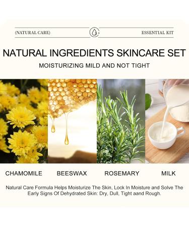 Natural Essence Skin Care Set - Daily Moisturizing Essentials | Beeswax Lip Balm Coconut Foot Cream Milk Lotion Chamomile Cleanser Lavender Salve | International Shipping - Buy Online on SooperMarket.com
