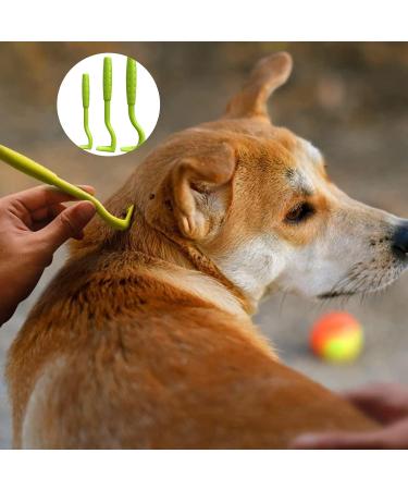 PQLQ Tick Card - 6 Piece Tick Removal Tool Set with Magnifying Glass for Pets & Humans | Quick & Gentle Tick Removal - Buy Online on SooperMarket.com