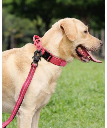 Joyal Tactical Dog Collar | Large Dog Collar with Handle & QR Code | Bright Pink XL - Durable & Stylish - Buy Online on SooperMarket.com