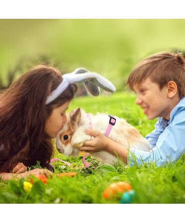 Adjustable Rabbit & Pet Harness Set - Blue & Pink Leash for Dogs Kittens Rabbits & Guinea Pigs | International Shipping - Buy Online on SooperMarket.com